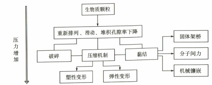 生物质成型过程中作用力的形成过程及机制