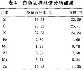 生物质锅炉